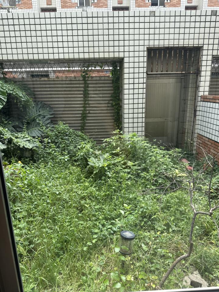 園藝維護案件圖片