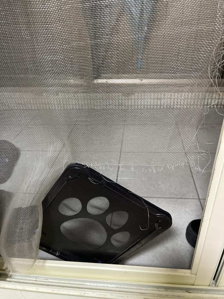 紗窗裝修案件圖片