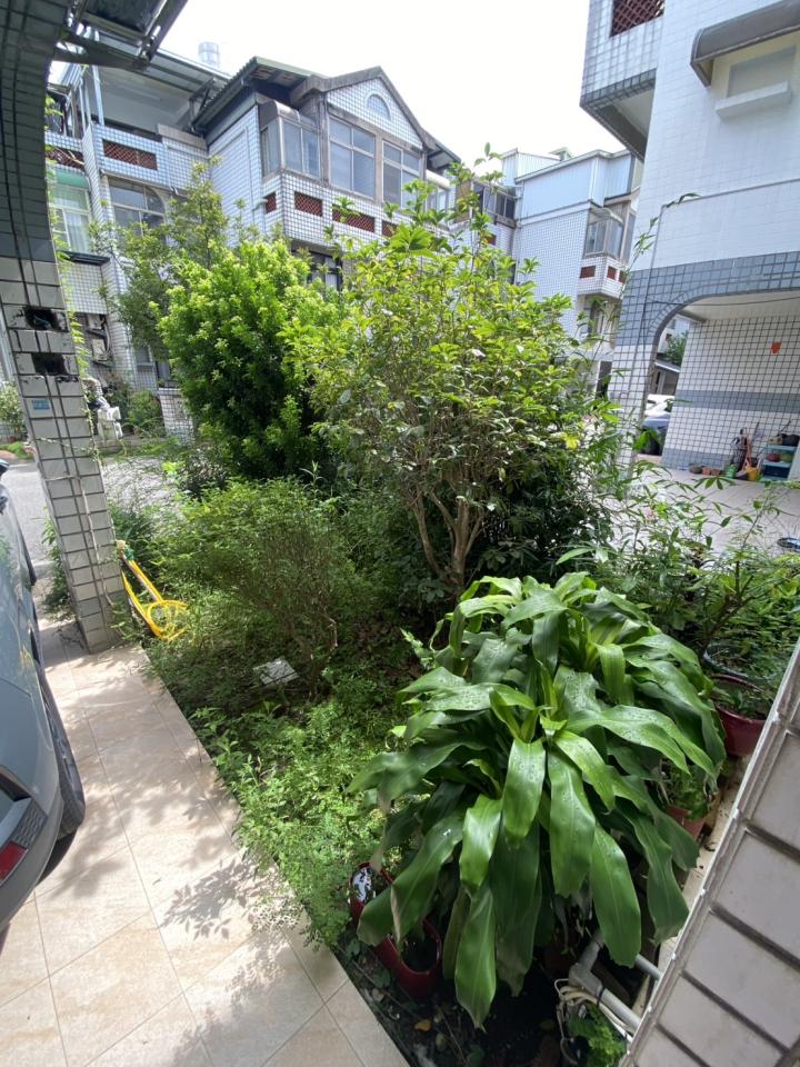 園藝維護案件圖片