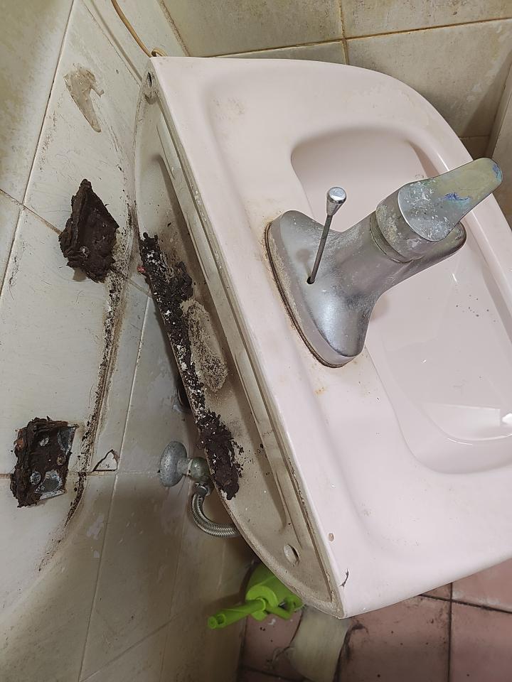 洗臉盆裝修案件圖片