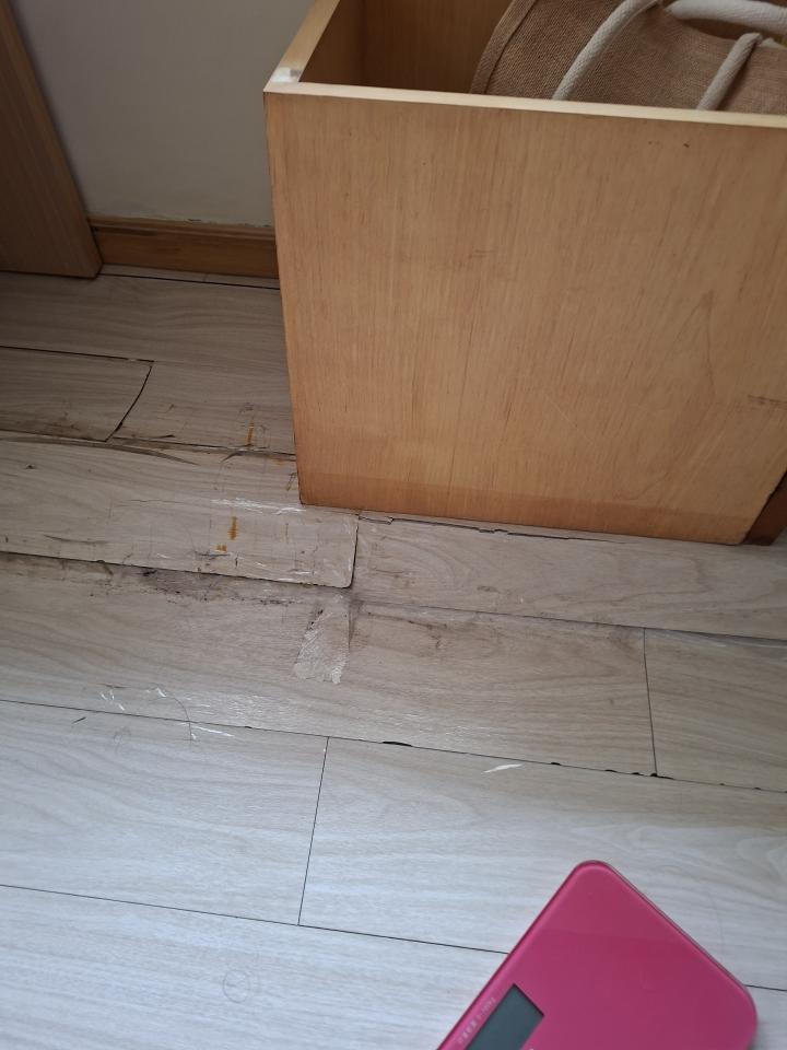 自平水泥案件圖片