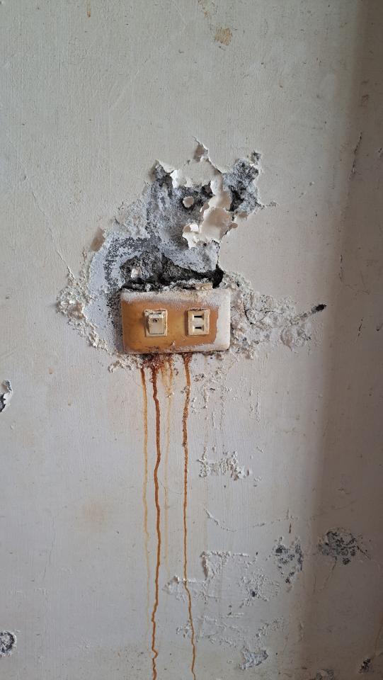 電線裝修案件圖片