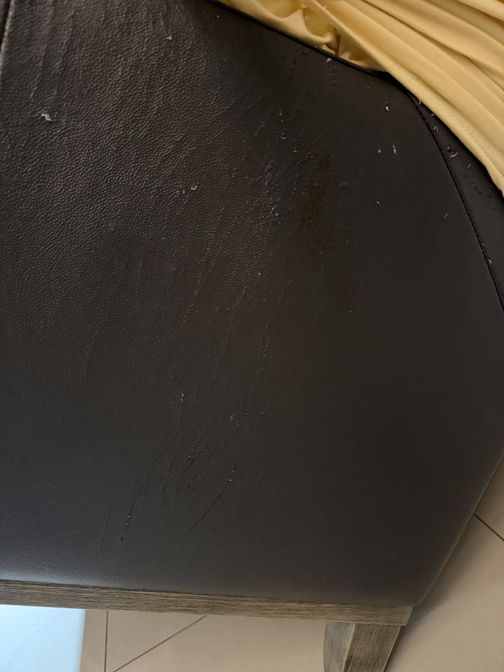 沙發修理案件圖片