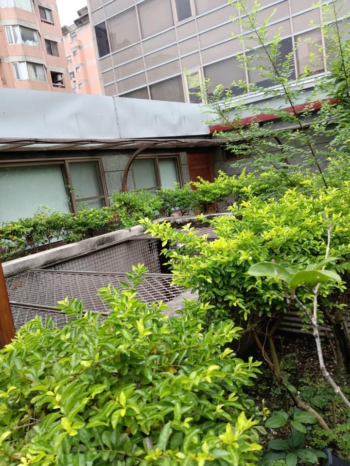 園藝維護案件圖片