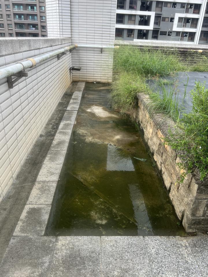 泥作/水泥施工案件圖片