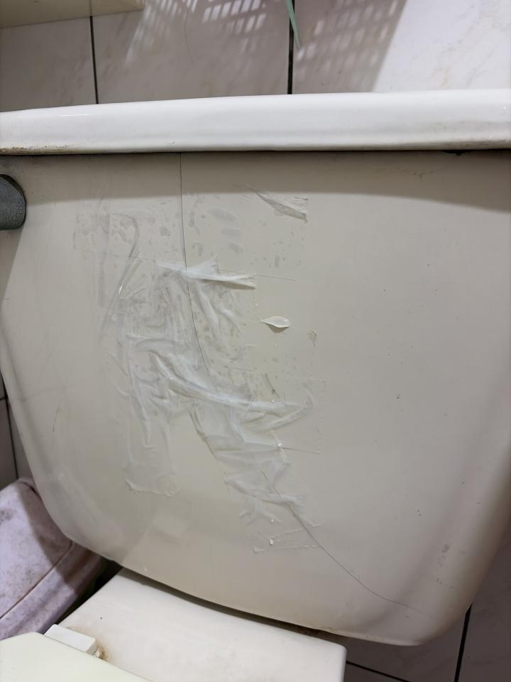 馬桶裝修案件圖片