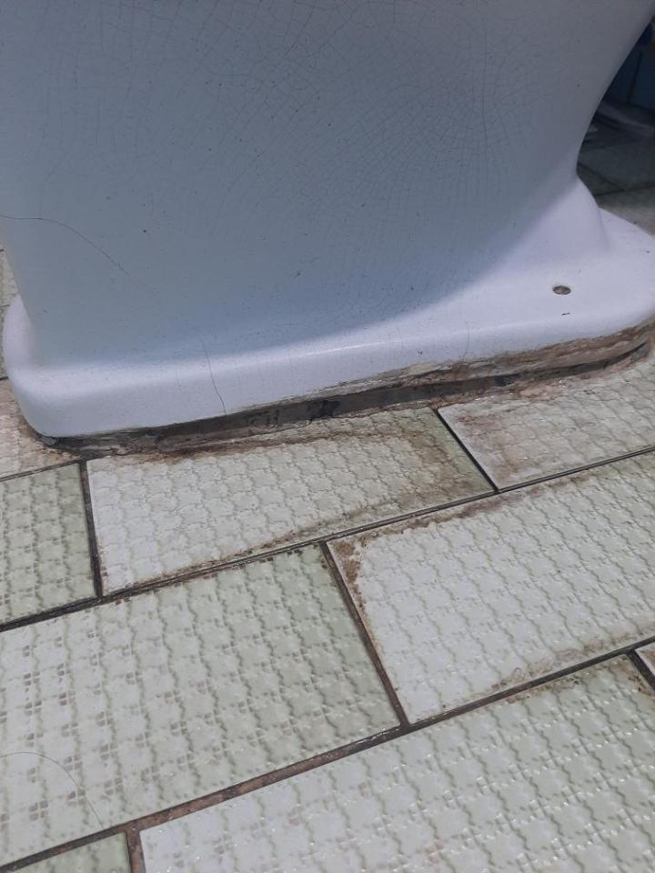 馬桶裝修案件圖片