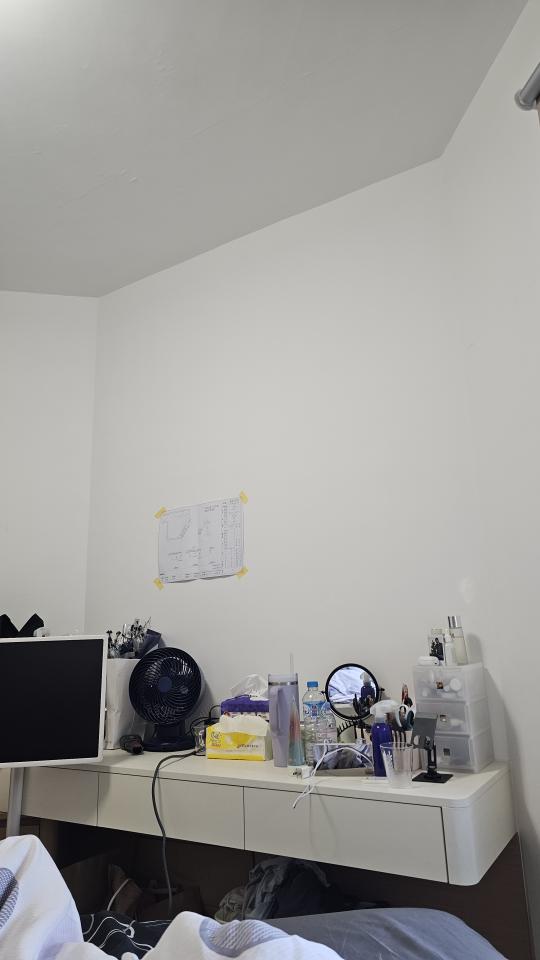 壁紙施工案件圖片