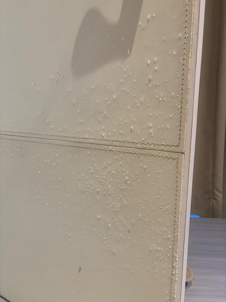 門片維修案件圖片