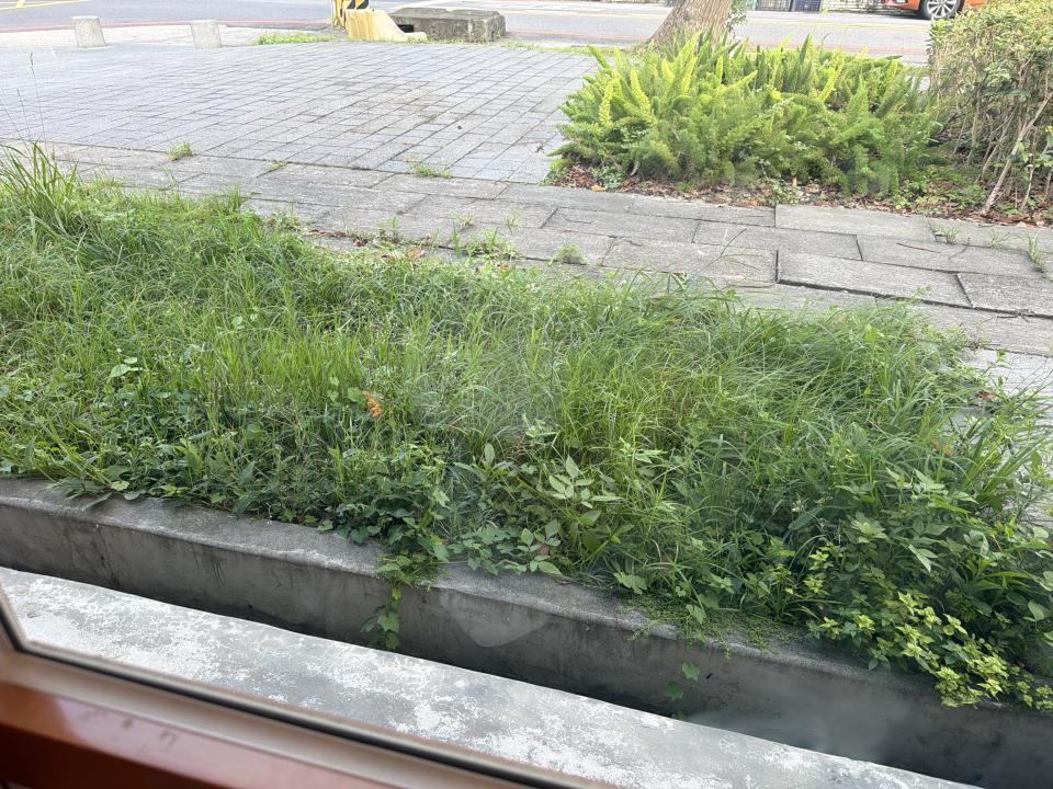 園藝維護案件圖片