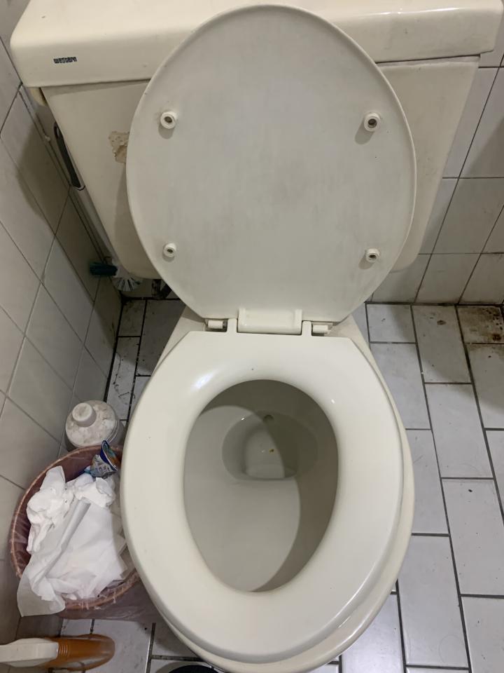 馬桶裝修案件圖片