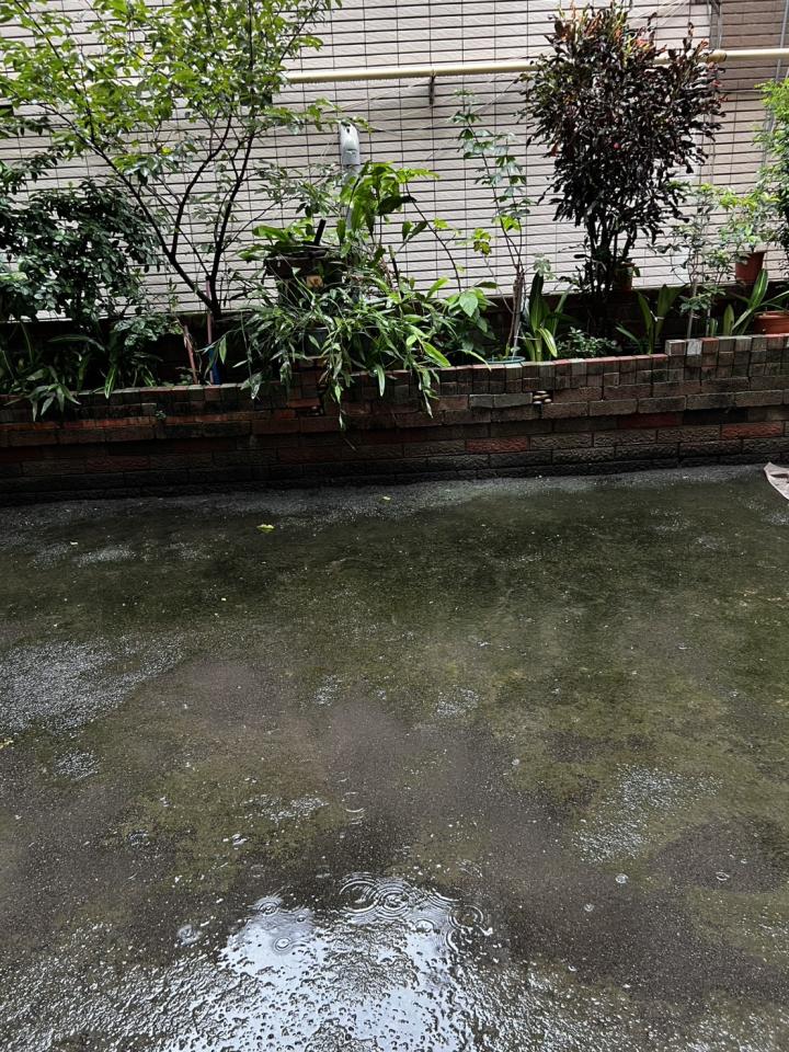 高壓清洗服務案件圖片