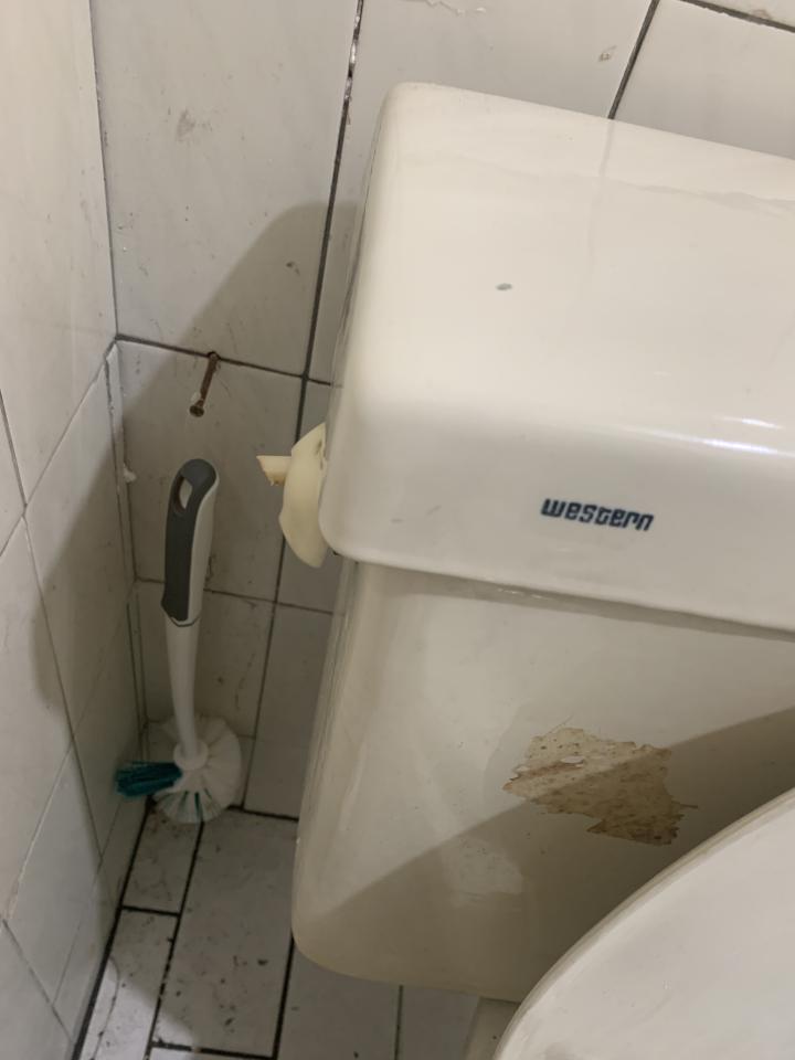 馬桶裝修案件圖片