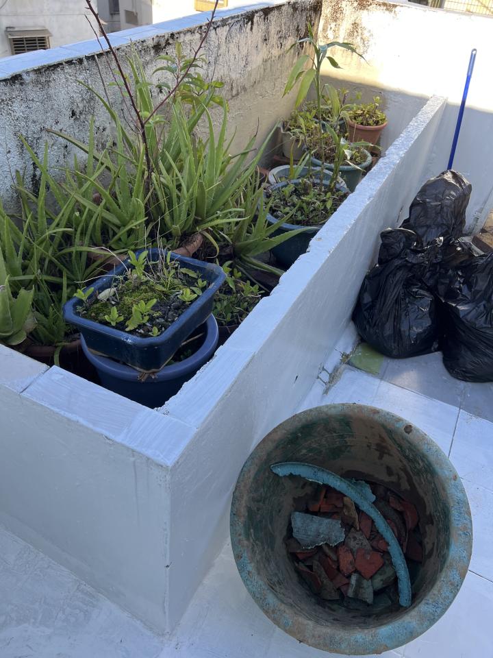 代收垃圾案件圖片