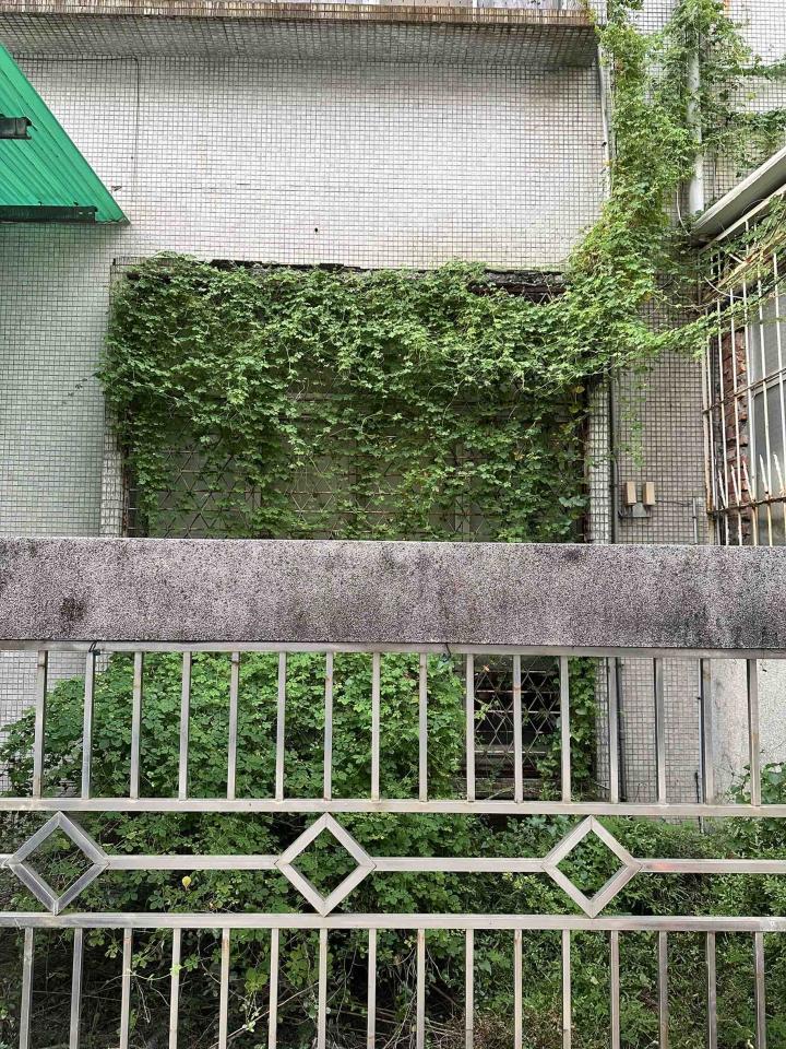 園藝維護案件圖片