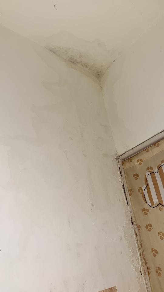 抓漏案件圖片