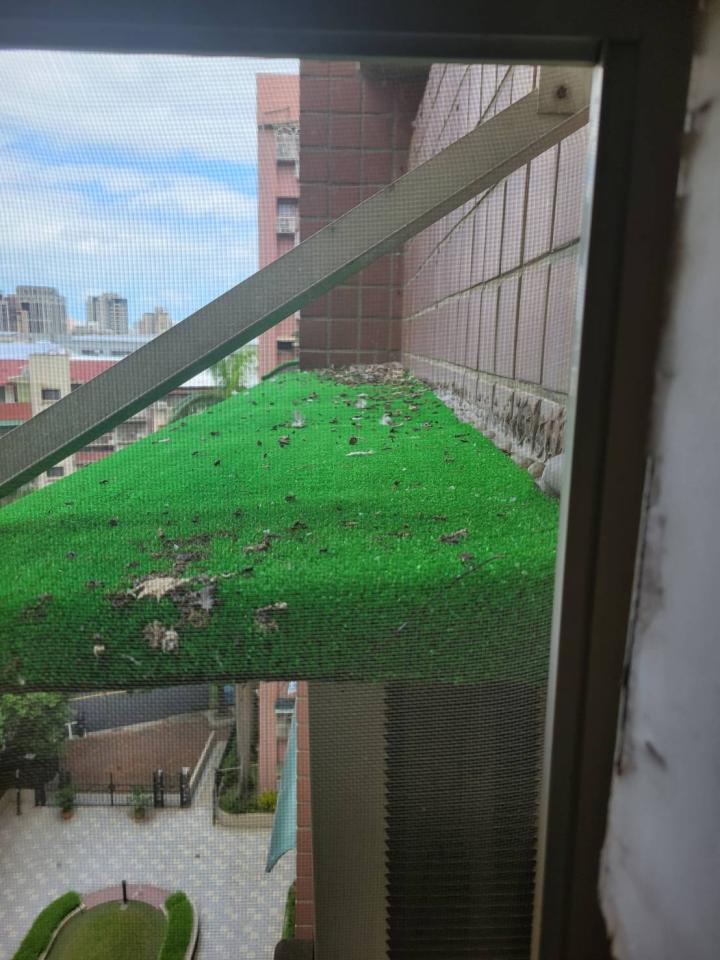 採光罩案件圖片