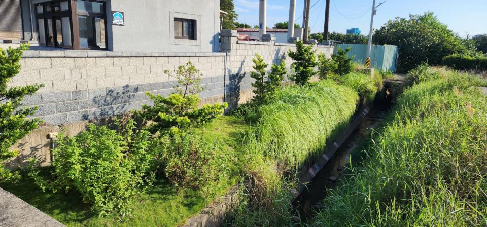園藝維護案件圖片