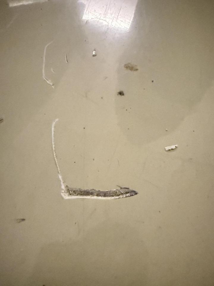 環氧樹脂地板案件圖片