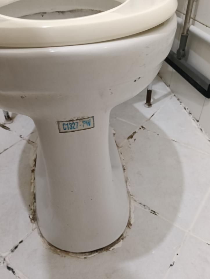 馬桶裝修案件圖片