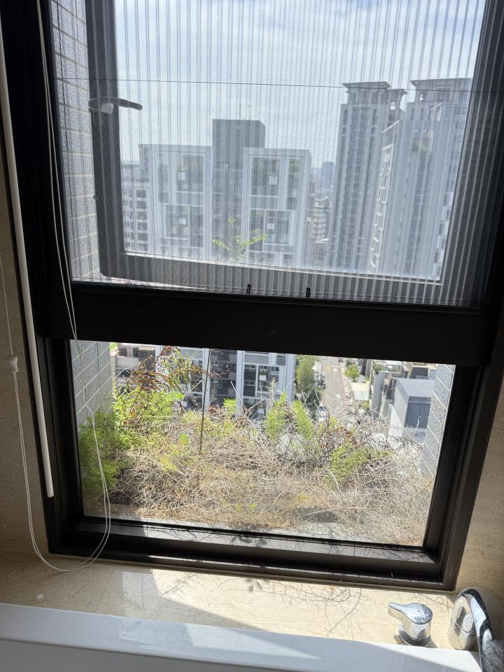 園藝維護案件圖片