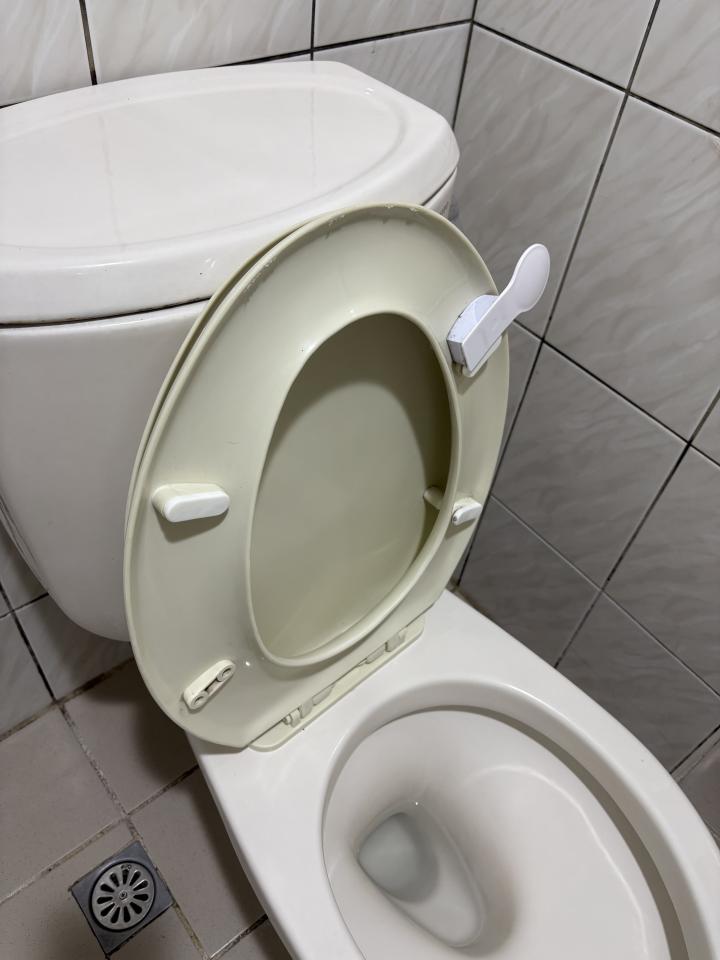 馬桶裝修案件圖片