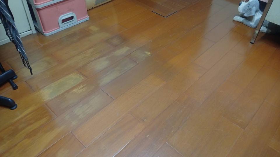 地板施工案件圖片