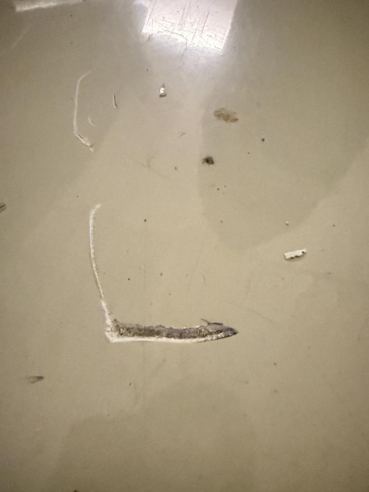 環氧樹脂地板案件圖片