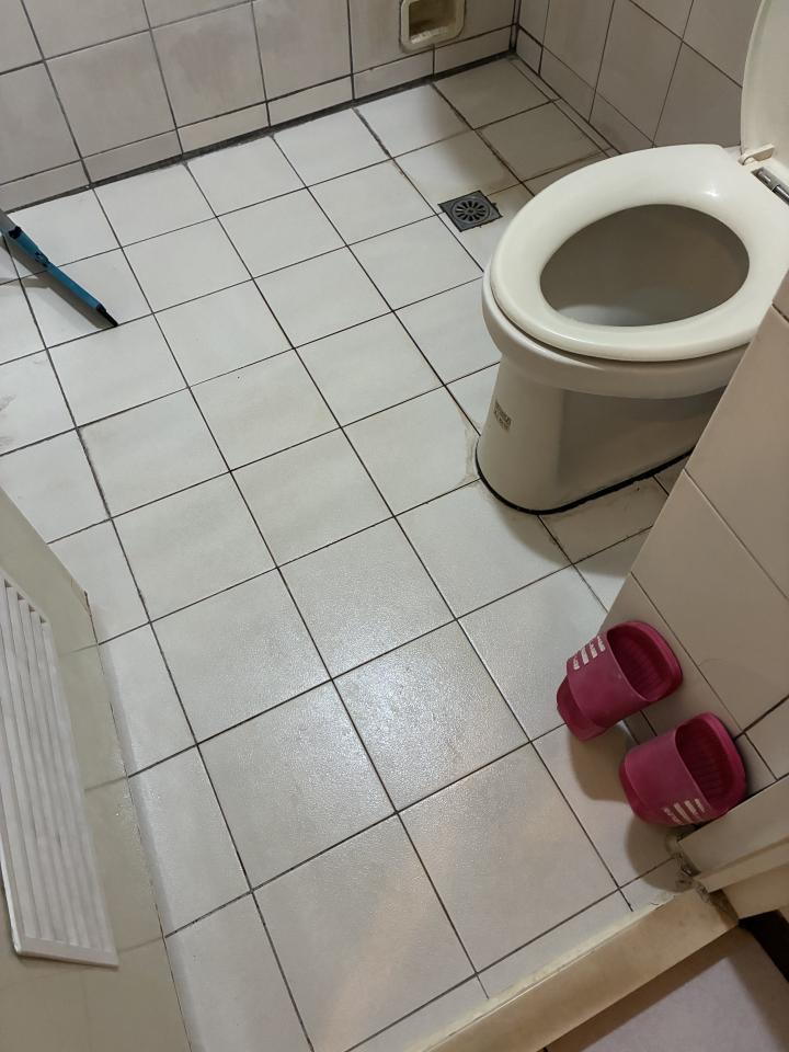 馬桶裝修案件圖片