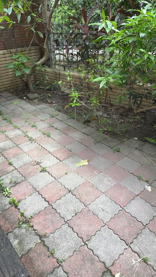 園藝設計案件圖片