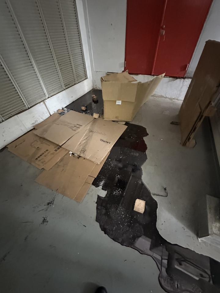 泥作/水泥施工案件圖片