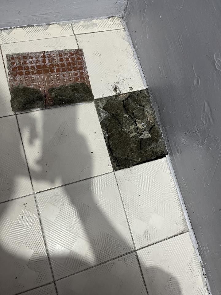 磁磚修補案件圖片