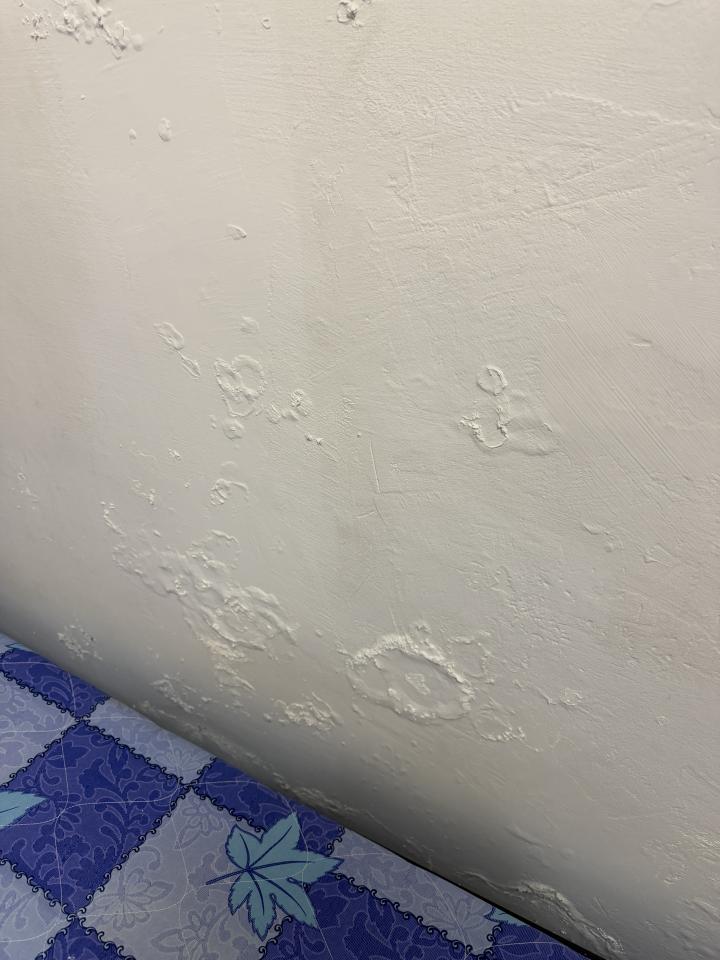壁癌處理案件圖片