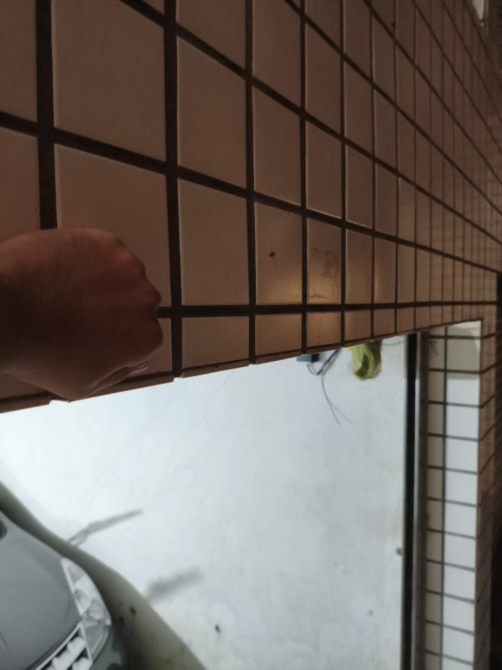泥作/水泥施工案件圖片