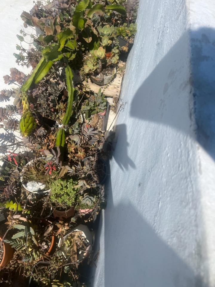 屋頂防水案件圖片