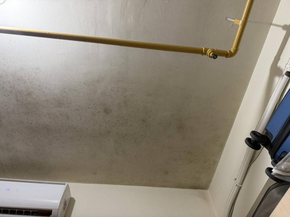 除霉案件圖片