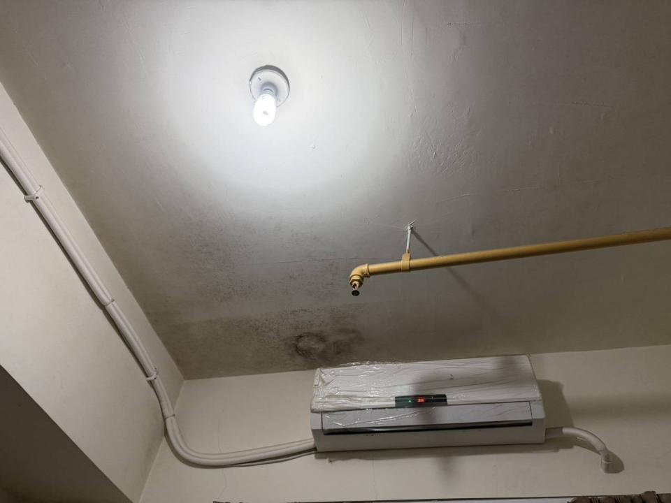 除霉案件圖片