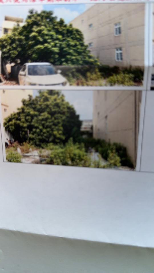 園藝維護案件圖片