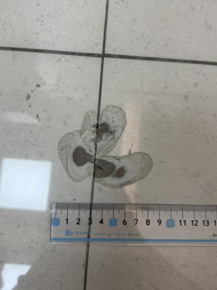 磁磚修補案件圖片
