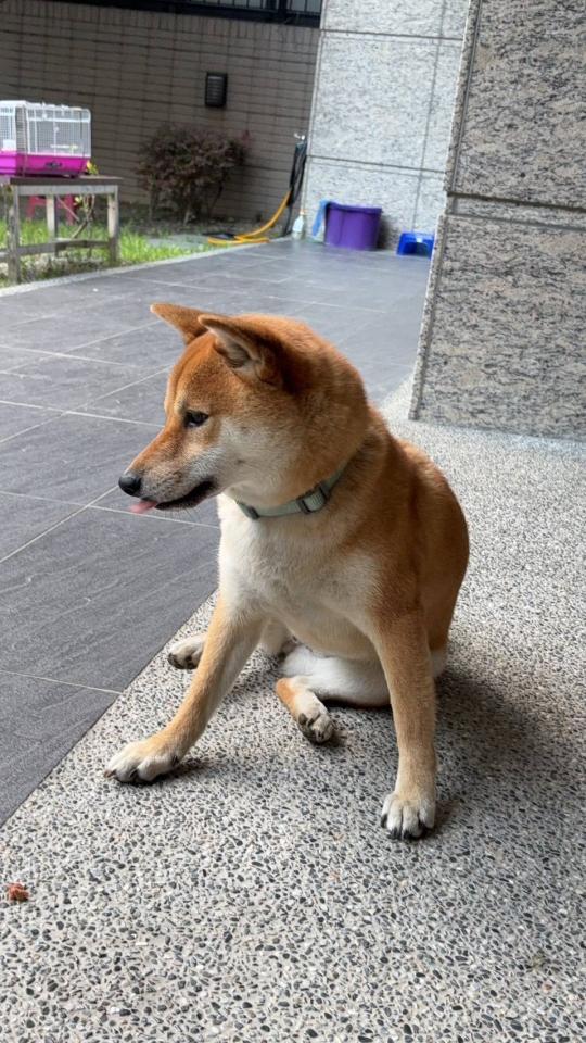 插畫案件圖片