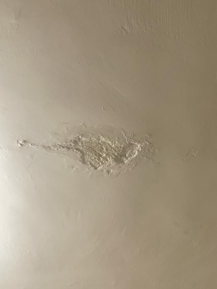 抓漏案件圖片
