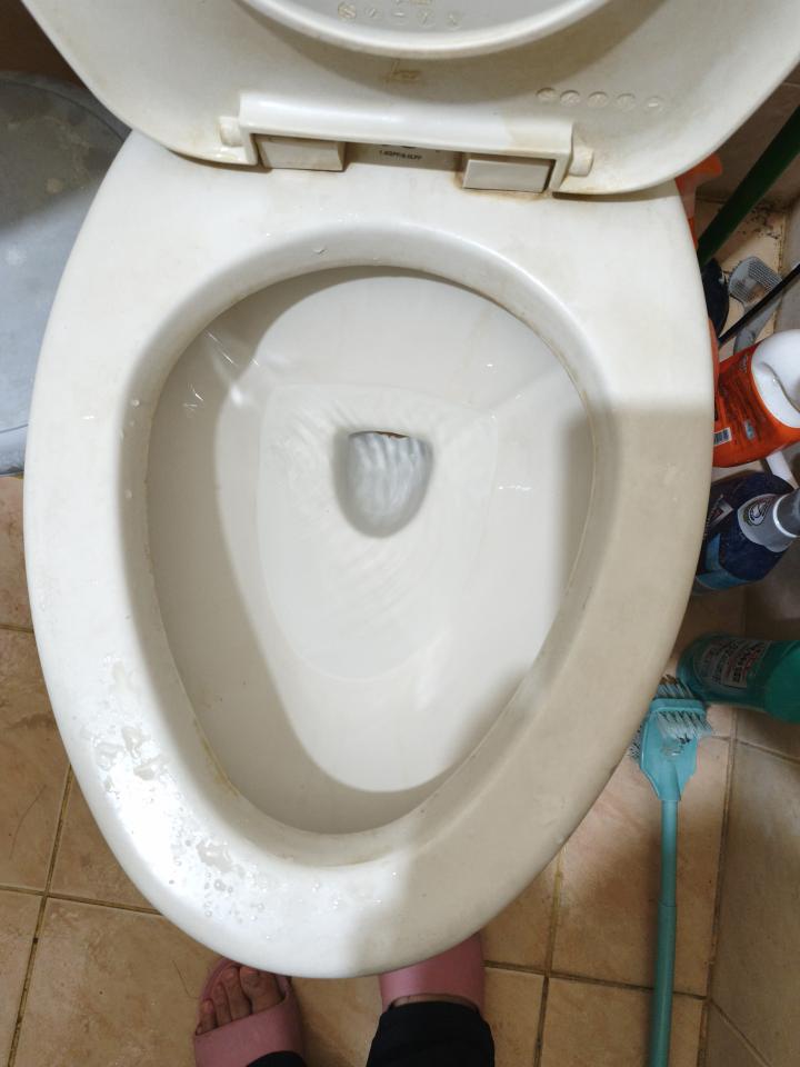 馬桶裝修案件圖片