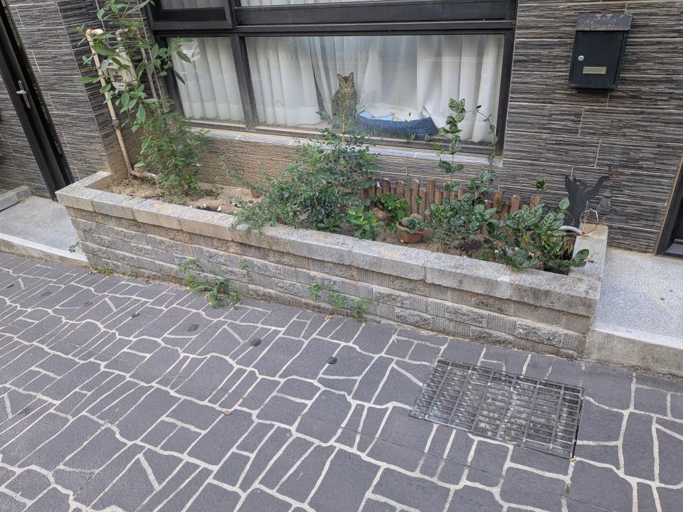 園藝設計案件圖片