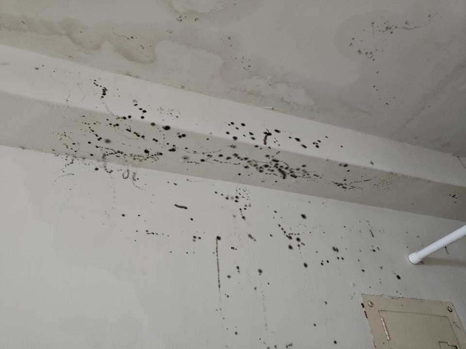 油漆工程案件圖片
