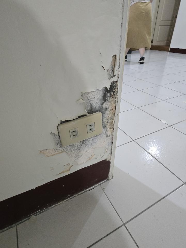 抓漏案件圖片