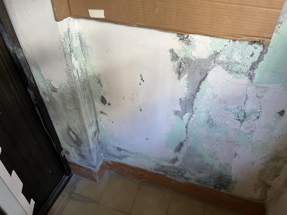 壁癌處理案件圖片