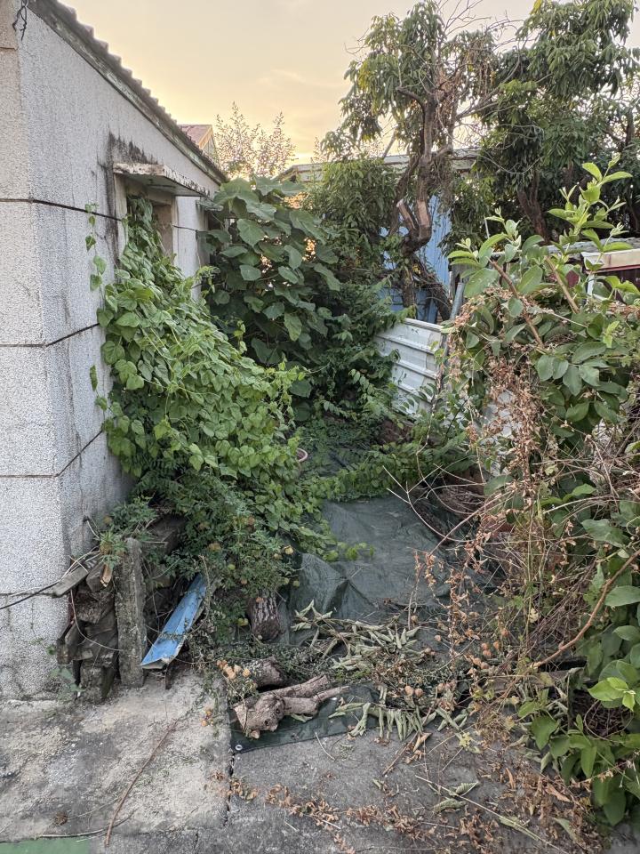 園藝維護案件圖片