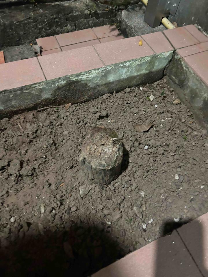 園藝維護案件圖片