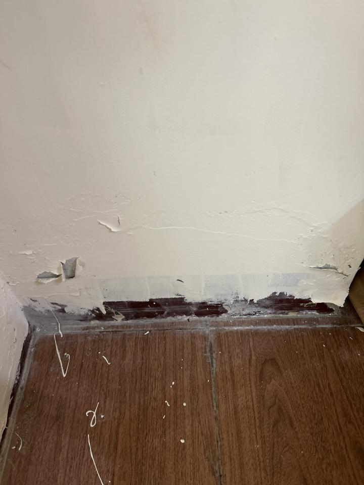 油漆工程案件圖片