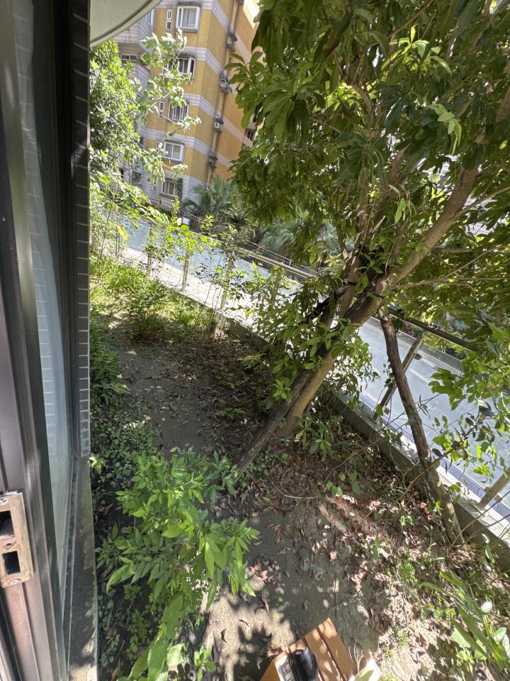 園藝維護案件圖片